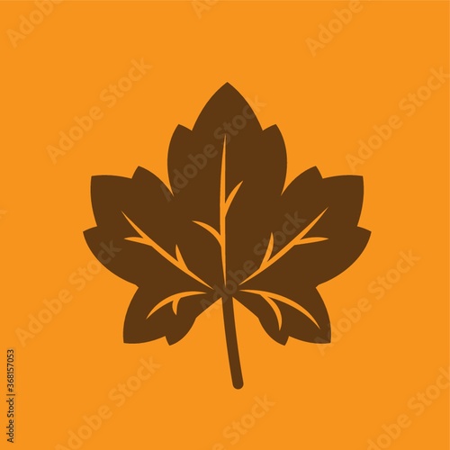 maple leaf