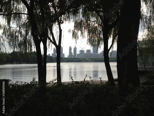 Photography Building peak from behind the trees in a park in Shanghai, China