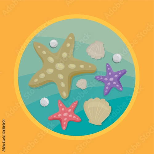 seashell and starfishes