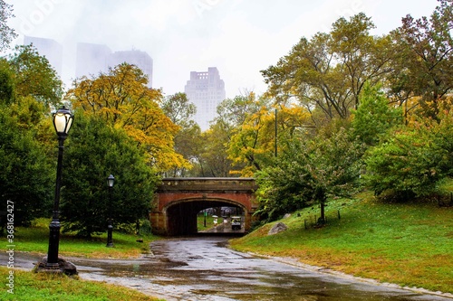 walk in central park
