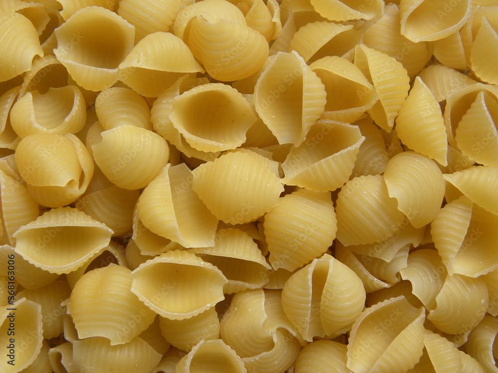 Yellow color raw Shell Macaroni pasta Yellow color raw Shell Macaroni pasta