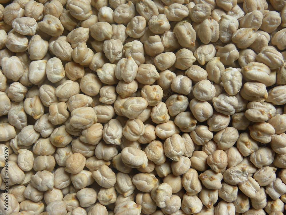 Light tan color raw whole Chickpeas