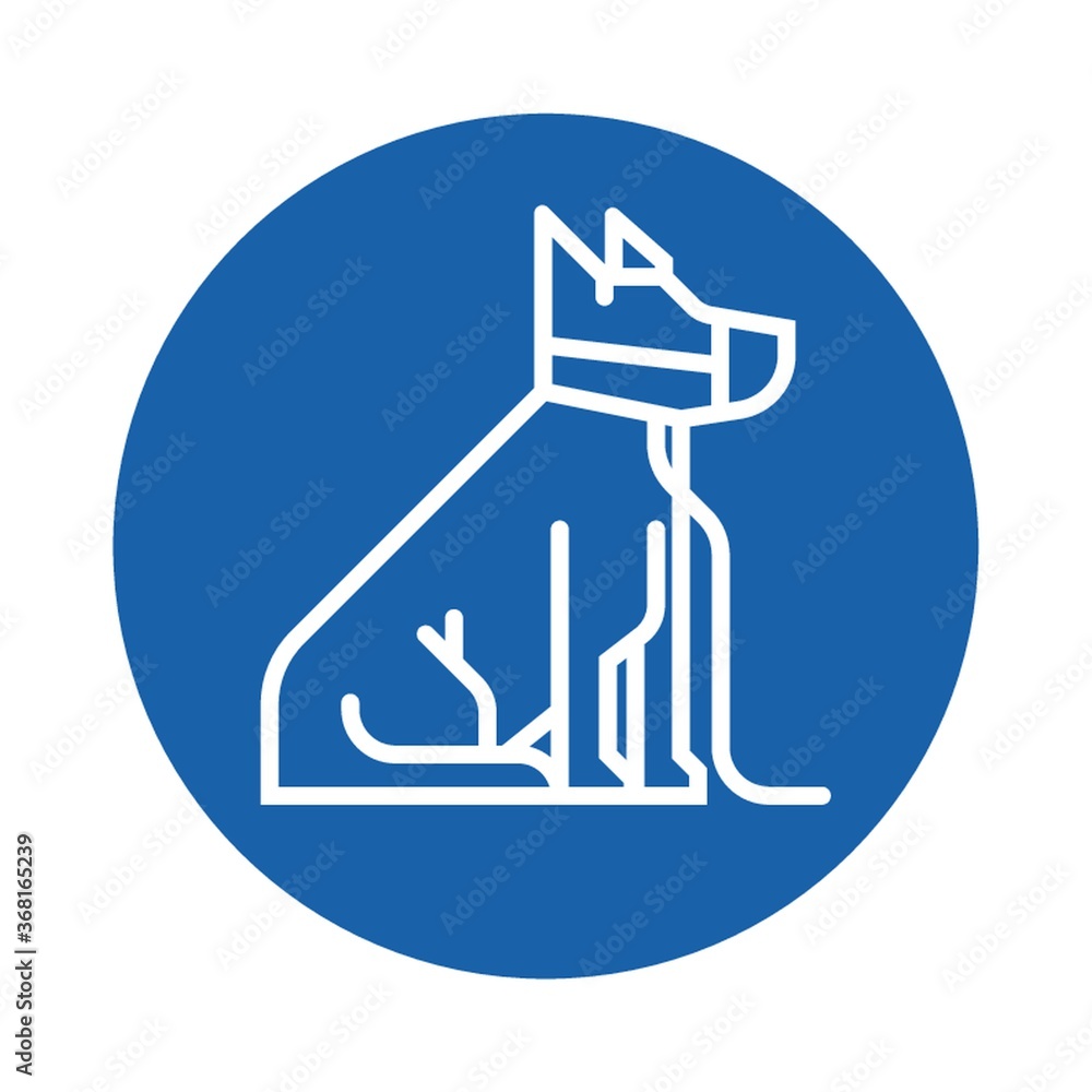 dog on leash with muzzle dog on leash with muzzle