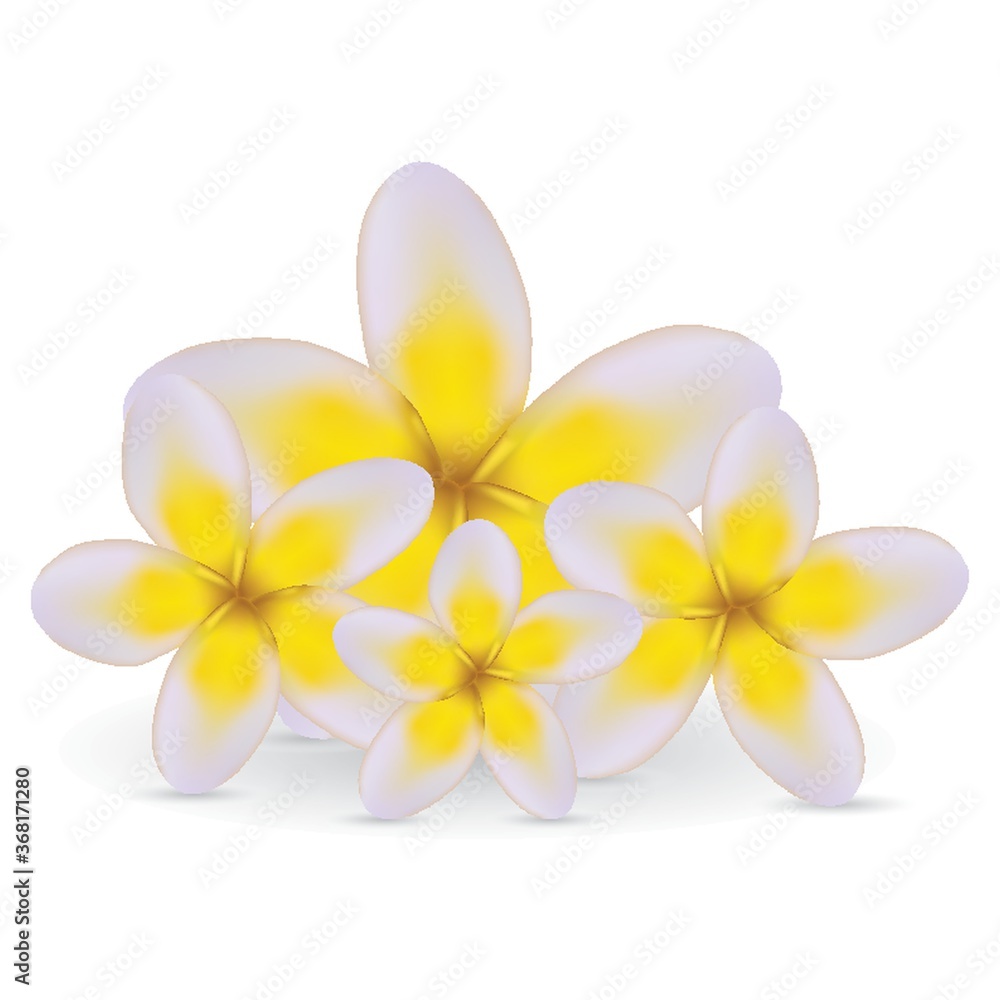 Fototapeta premium flowers