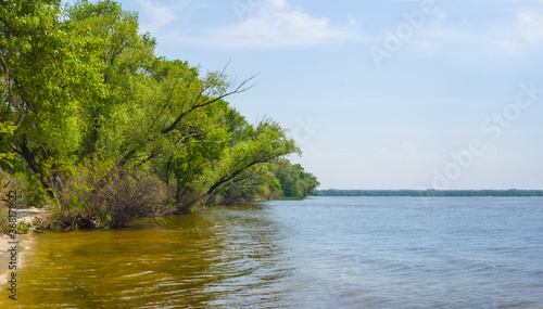 river coast with forest, summer outdoor landscape