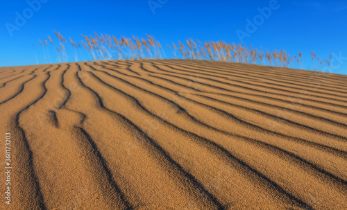 sandy prairie hill slope on a blue sky background