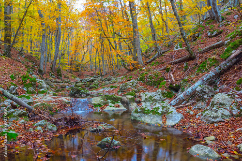 small quiet river in a mountain canyon  autumn outdoor scene