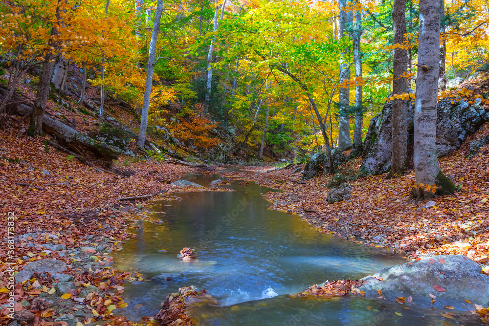 small quiet river in a mountain canyon, autumn outdoor scene small quiet river in a mountain canyon, autumn outdoor scene