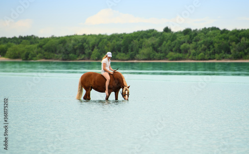 The red horse with the Caucasian horsewoman on its back is standing in the water and quenching its thirst.