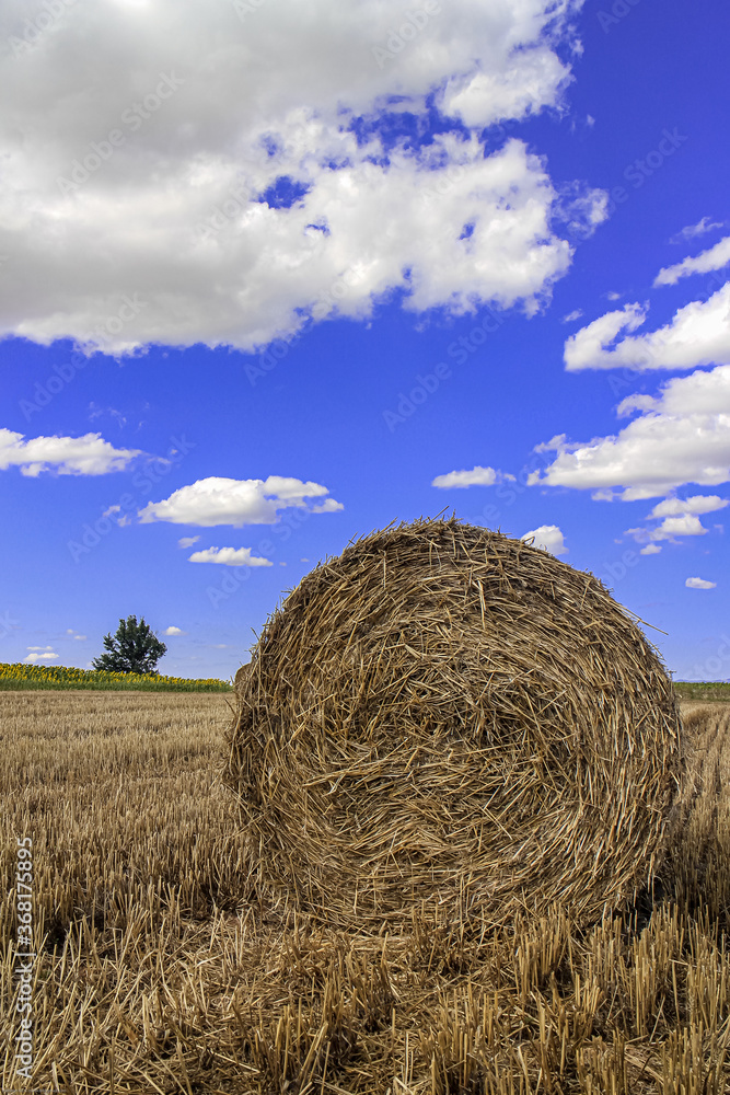 Blue and Cloudy Sky, Straw Bale in agriculture field Thrace Turkey Europe Blue and Cloudy Sky, Straw Bale in agriculture field Thrace Turkey Europe