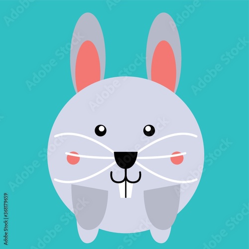 rabbit