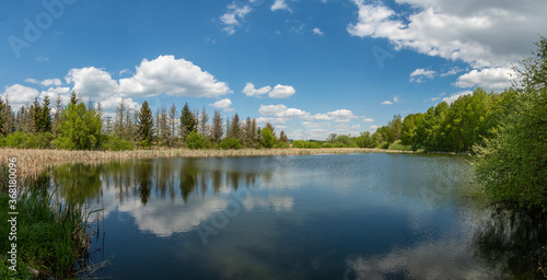 small pond surrounded by trees and reeds with mirrored white clo