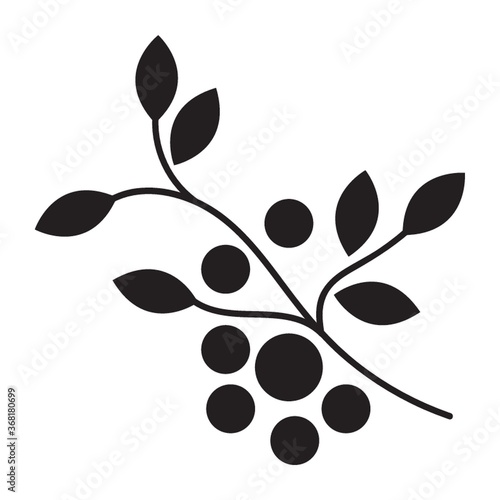 branch of cranberries