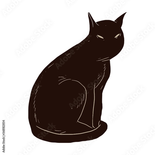 black cat