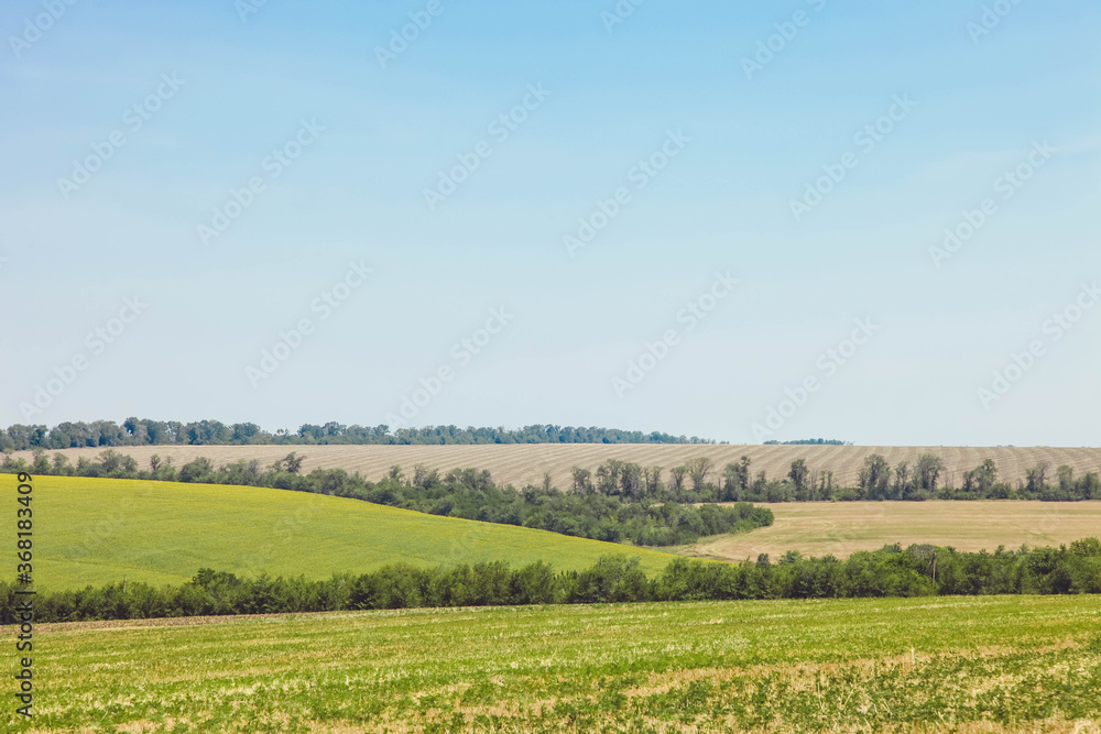 Green fields