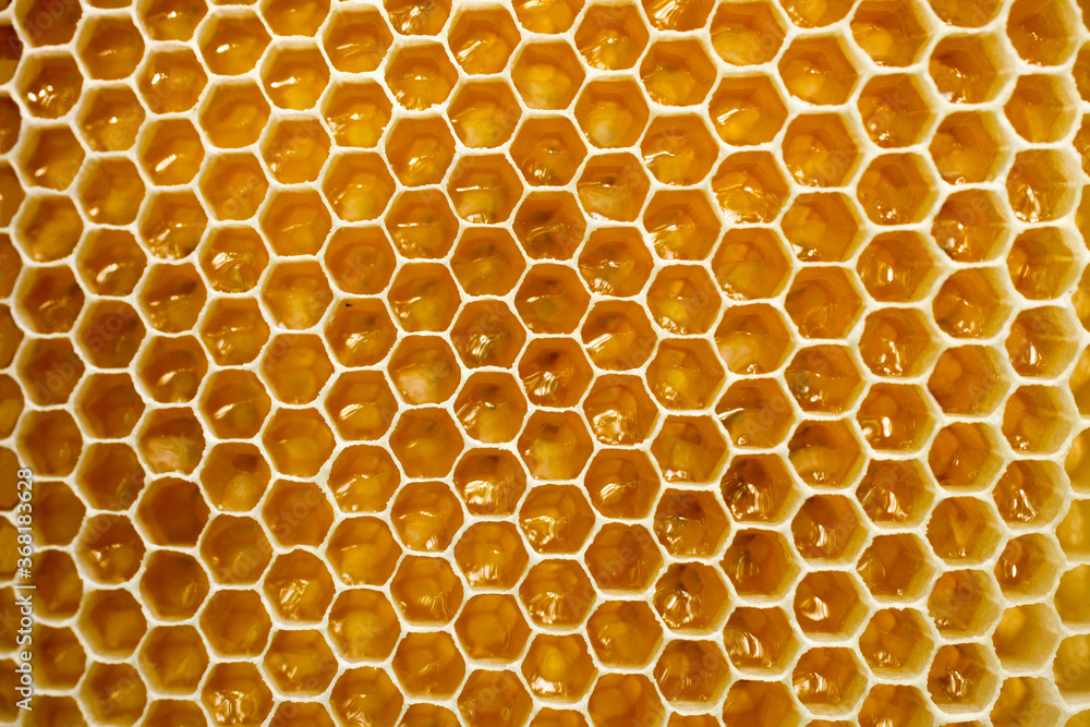 Golden honeycomb