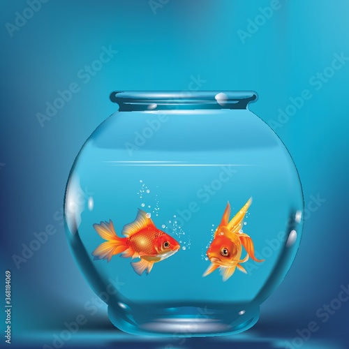 goldfishes in aquarium