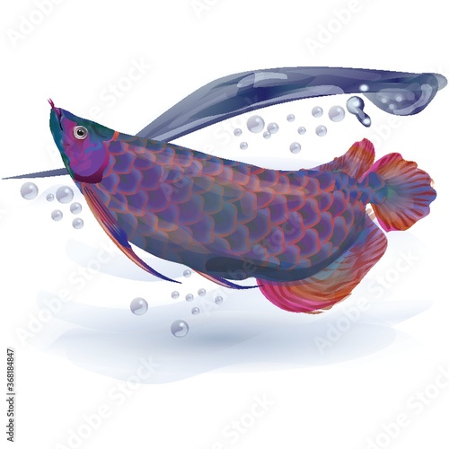 fish