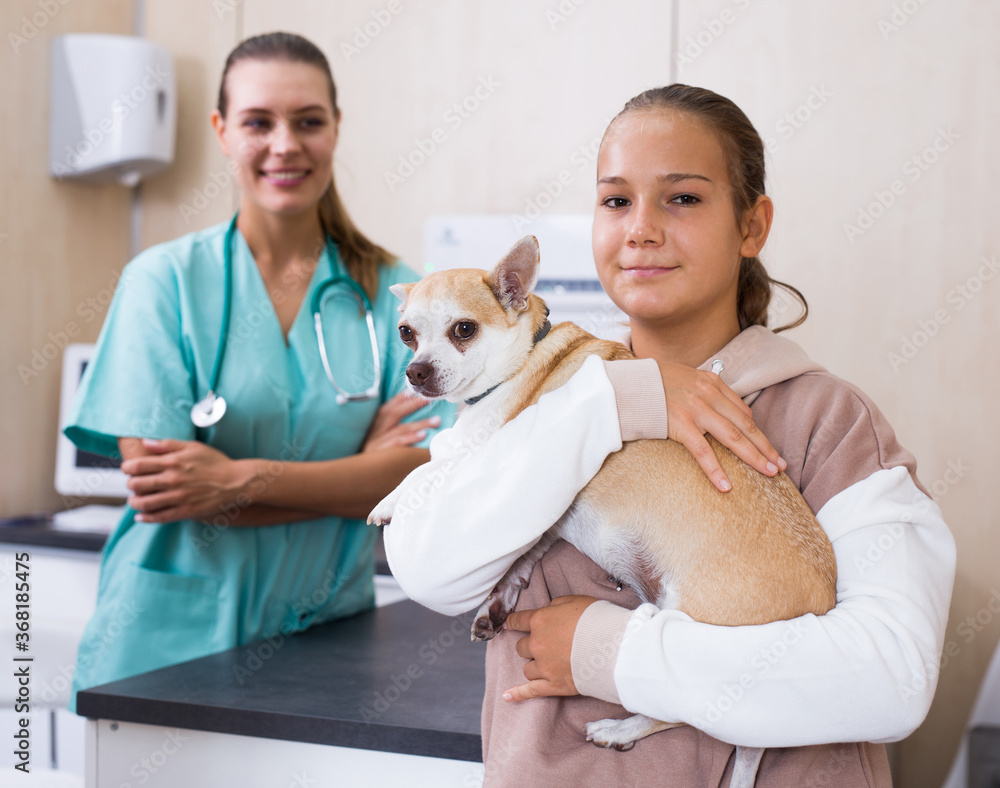 Happy teen girl led dog for examination by a veterinarian. High quality photo