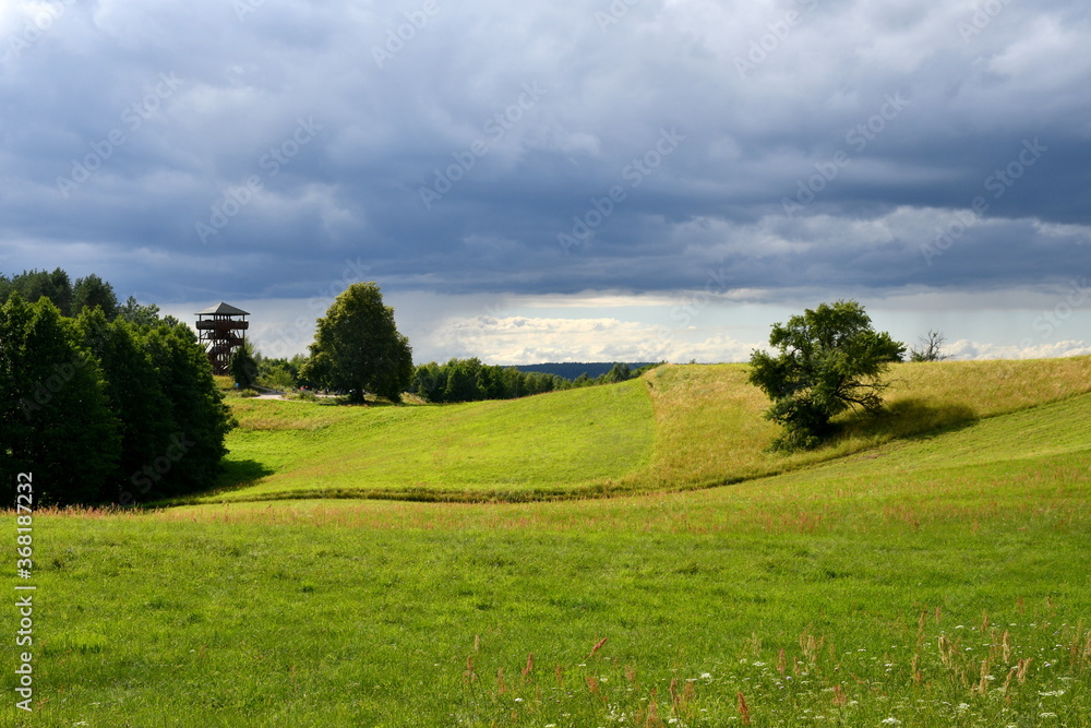 A view of a vast hilly meadow, pastureland or field with some trees, shrubs, and other flora growing on it seen right before a massive storm with stormy clouds above the scene spotted in Poland