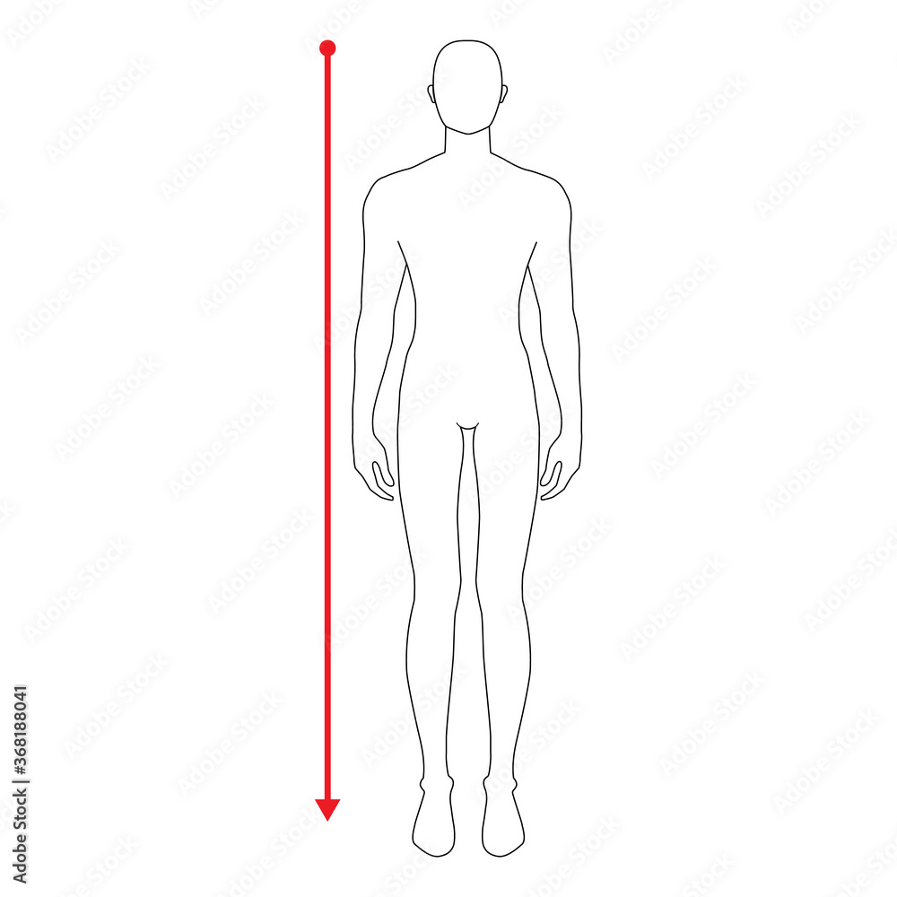 Men to do height measurement fashion Illustration for size chart. 7.5 head size boy for site or online shop. Human body infographic template for clothes. Men to do height measurement fashion Illustration for size chart. 7.5 head size boy for site or online shop. Human body infographic template for clothes.