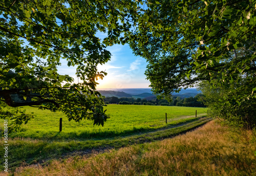 Sauerland Panorama Iserlohn L  ssel Wanderweg H  gel Land der tausend Berge Eiche Wiese Weide Aussicht Horizont Abendlicht Sonnenuntergang Atmosph  re Sommer Idyll romantik Natur Kulisse Outdoor Biking 