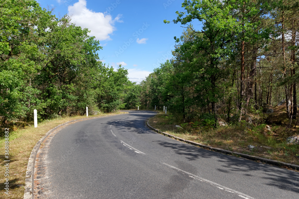 Obraz premium D64 country road turn in Fontainebleau forest
