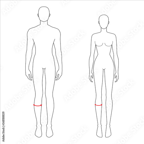 Women and men to do calf measurement fashion Illustration for size chart. 7.5 head size girl and boy for site or online shop. Human body infographic template for clothes. 