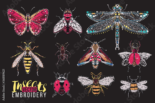 Beautiful dragonfly, brown bug, forest ant, small red butterfly, red fly, night butterfly, big honey bee, big wasp, flying ladybag, small funny bee, red flying bug. Vector patches crystals embroidery