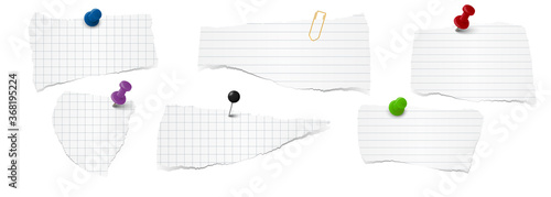 scrap of paper collection
