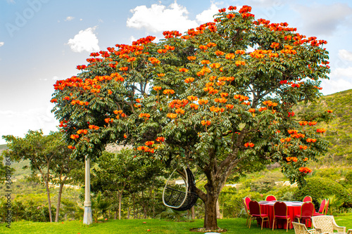 Lubango
