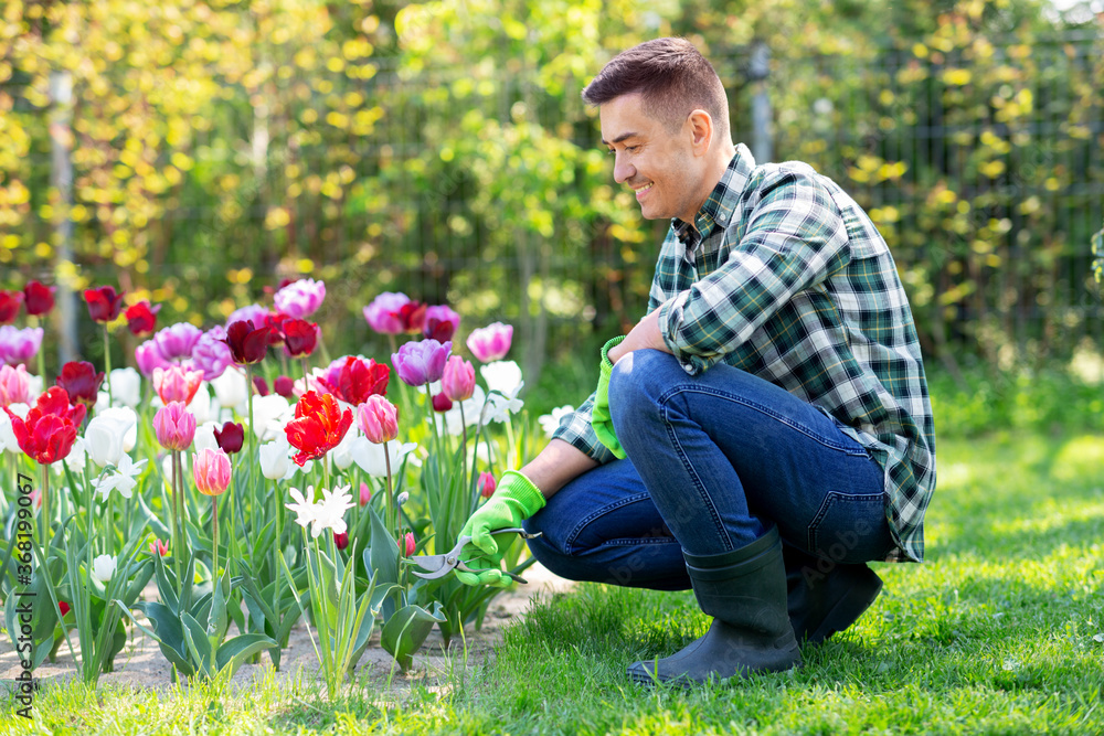 gardening and people concept - happy smiling middle-aged man with pruner taking care of flowers at summer garden gardening and people concept - happy smiling middle-aged man with pruner taking care of flowers at summer garden