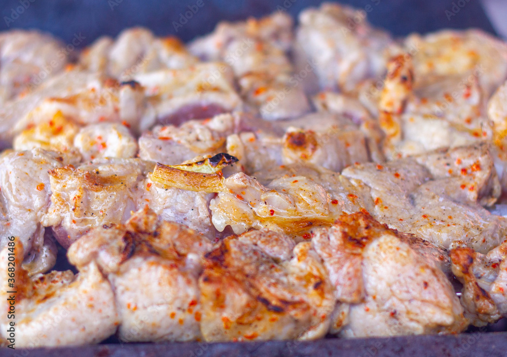 beautiful meat KEBAB in NATURE beautiful meat KEBAB in NATURE