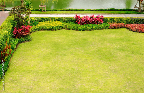 Field of green grass, Green lawn, Garden on the front lawn Decking, Landscape formal front yard has been beautifully designed, Garden in spring.