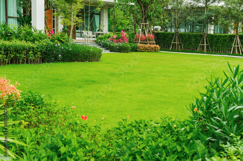 Obraz na płótnie House in the park, Green lawn, front yard is beautifully designed garden, Flowers in the garden, Green grass, Modern house with beautiful landscaped front yard, Lawn and garden blur background