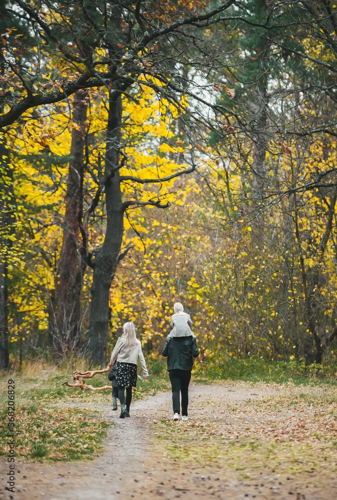 Young family of four having fun in autumn park. Back view.