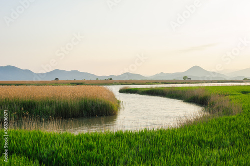Suncheon Bay Wetland, Jeollanam-do, South Korea