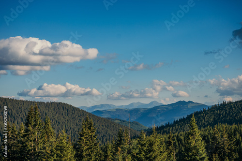 A tree with a mountain in the background © Дмитро Григорчак