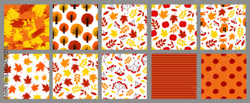 Autumn seamless patterns set.  Digital papers.