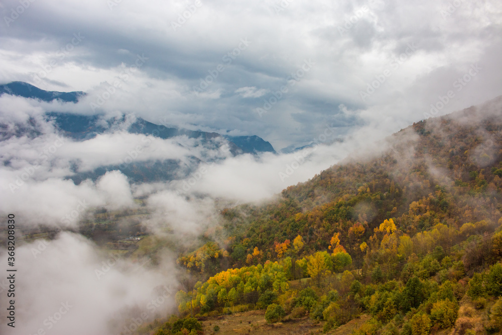 Misty forest covered in fog with autumn colors . Foggy colorful fall mountains. Peaceful moody scenery.