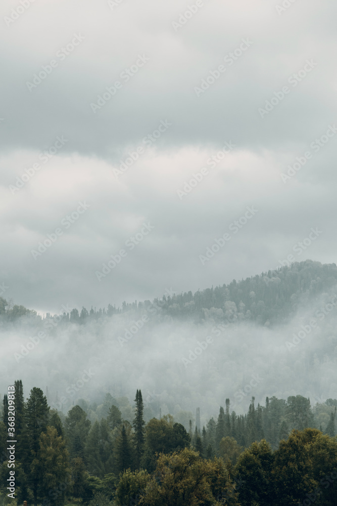 Altai nature at dawn in the fog. Haze in the forest and on the lake, atmospheric weather for the screensaver.