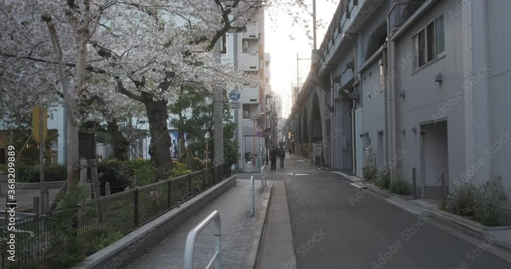 Walking street in Tokyo at sunset. Cherry blossom boom in urban landscape. Steady gimbal POV shot Walking street in Tokyo at sunset. Cherry blossom boom in urban landscape. Steady gimbal POV shot