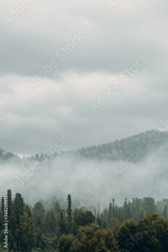 Altai nature at dawn in the fog. Haze in the forest and on the lake, atmospheric weather for the screensaver.