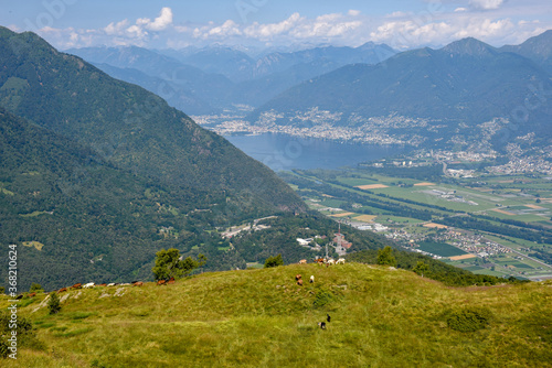 View at Magadino valley and lake Maggiore on Switzerland