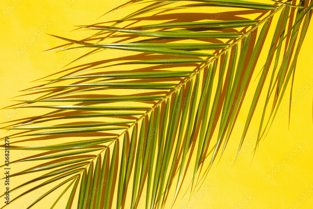 Obraz premium Palm leaf on a yellow background. Flat lay style