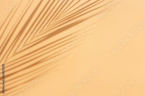 Palm leaf shadow on peach background and empty space for text