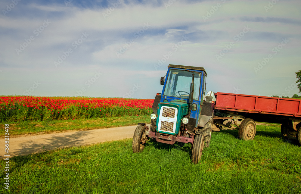 Obraz premium tractor on the field
