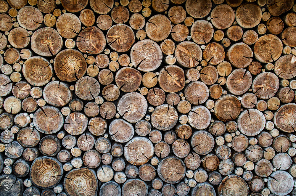 catasta legna texture