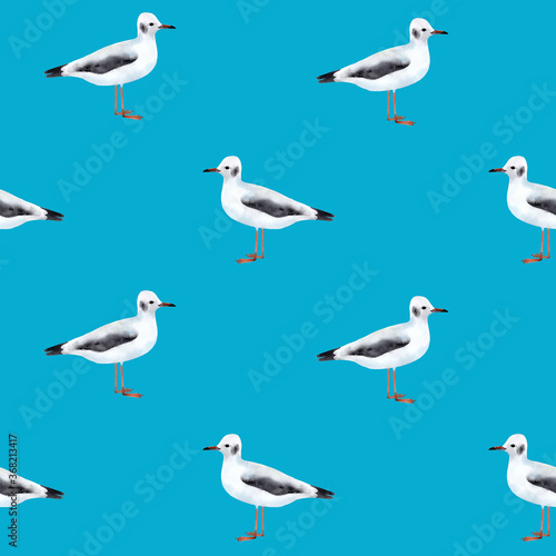 Seamless pattern with seagulls on blue background 