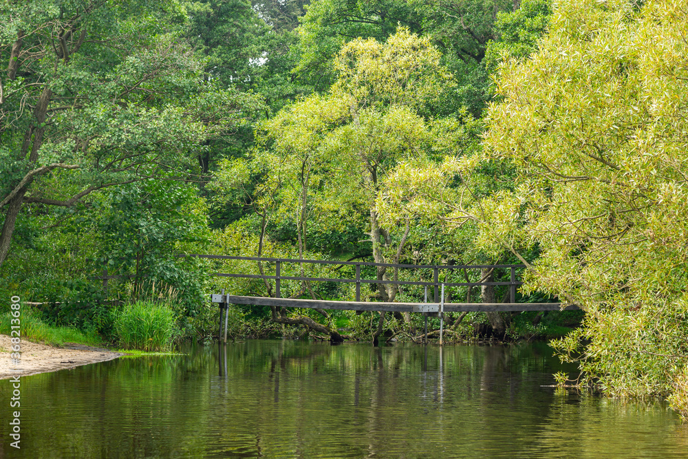An old wooden bridge with a lot of green trees and grass near a lake or river